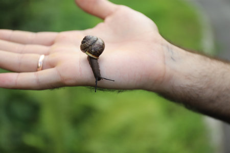 friends found a snail on the street