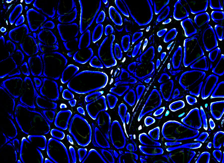Grunge noisy dark chaotic abstract background with textured blue glowing circle shapes. Trendy edgy...