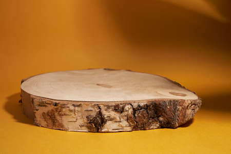 Product display in the form of a birch cut on yellow background with plant shadow, natural podium for your productの写真素材