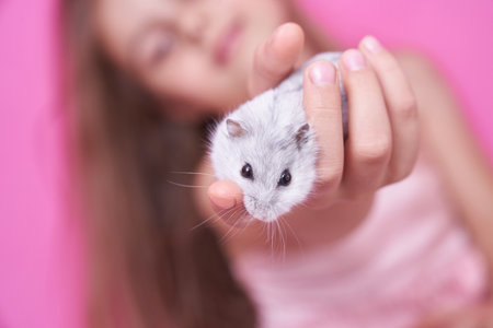 A beautiful girl in a soft pink dress holds a Dzungarian hamster in her hands and smiles on a pink backgroundの写真素材