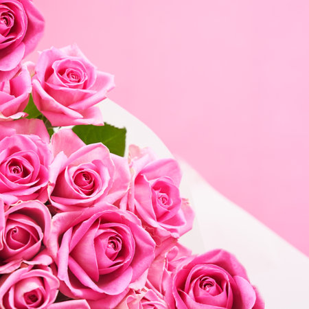 Beautiful pink roses with copy space.の写真素材