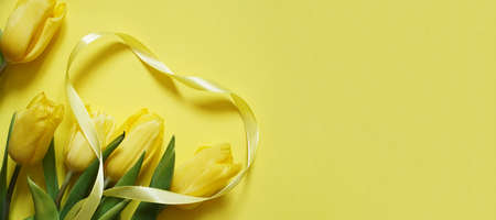 Five yellow fresh tulips on a yellow background with yellow heart made of ribbonの写真素材