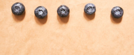 Five blueberries on a beige craft paper background. Berries laid out in the form of a line. Horizontal banner with copy space. Healthy, delicious, natural vegetarian background.の写真素材