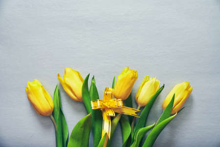 Five yellow fresh tulips on a silver grey background with a yellow ribbon and copy space.の写真素材