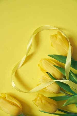 Five yellow fresh tulips on a yellow background with the heart made of ribbon.の写真素材