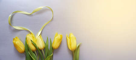 Five yellow fresh tulips on a yellow and grey background with the heart made of ribbon.の写真素材