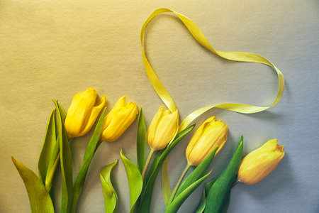 Five yellow fresh tulips on a yellow and grey background with the heart made of ribbon.の写真素材