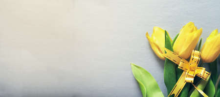 Three yellow fresh tulips on a silver grey background with a yellow ribbon and copy space. Concept of holiday, March 8, International womans day. Banner with copy space. Colors of the 2021 yearの写真素材