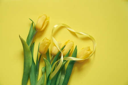 Five yellow fresh tulips on a yellow background with the heart made of ribbon. Concept of holiday, Valentin day, International womans day, Mothers day. Card with copy space.の写真素材