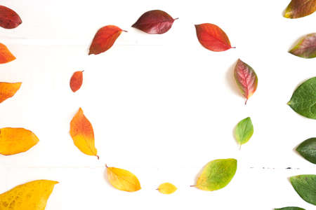 Circle of colorful autumn leaves in the form of a gradient text frame, layout for design on a wooden white background. High quality photoの写真素材