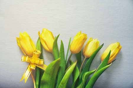 Five yellow fresh tulips on a silver grey background with a yellow ribbon and copy space. Concept of holiday, March 8, International womans day. Card with copy space. Colors of the 2021 yearの写真素材