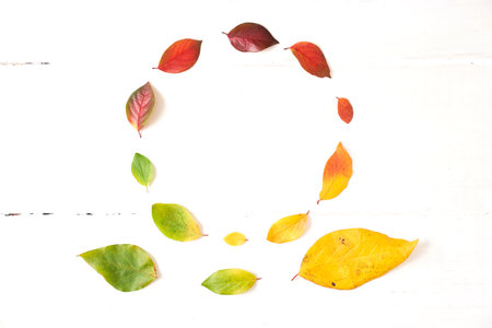 Circle of colorful autumn leaves in the form of a gradient text frame, layout for design on a wooden white background. High quality photoの写真素材