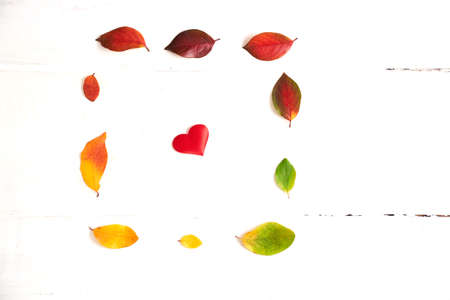 Square of colorful autumn leaves in the form of a gradient text frame with heart in the middle, layout for design on a wooden white background. High quality photoの写真素材