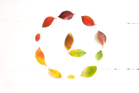 Circle of colorful autumn leaves with hand points to 15 oclock in the middle, layout for design on a wooden white background. High quality photoの写真素材