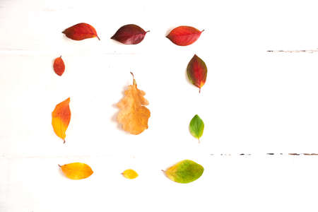 Square of colorful autumn leaves in the form of a gradient text frame with oak leaf in the middle, layout for design on a wooden white background. High quality photoの写真素材
