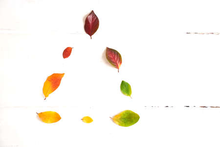 Triangle of colorful autumn leaves in the form of a gradient text frame, layout for design on a wooden white background. High quality photoの写真素材