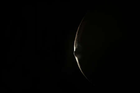 A womans large pregnant belly on a black background, silhouette, black and white photo. High quality photoの写真素材