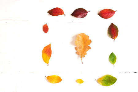Square of colorful autumn leaves in the form of a gradient text frame with oak leaf in the middle, layout for design on a wooden white background. High quality photoの写真素材