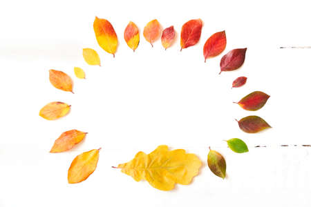 Oval shape of colorful autumn leaves in the form of a gradient text frame, layout for design on a wooden white background. High quality photoの写真素材