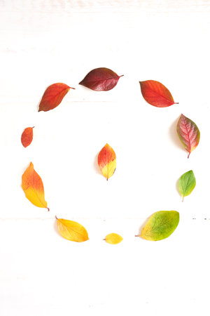 Circle of colorful autumn leaves in the form of a gradient text frame, layout for design on a wooden white background. High quality photoの写真素材
