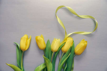 Five yellow fresh tulips on a grey background with the heart made of ribbon. Concept of holiday, Valentin day, International womans day, Mothers day. Horizontal photo with copy space.の写真素材