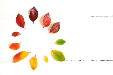 Circle of colorful autumn leaves in the form of a gradient text frame, layout for design on a wooden white background. High quality photoの写真素材