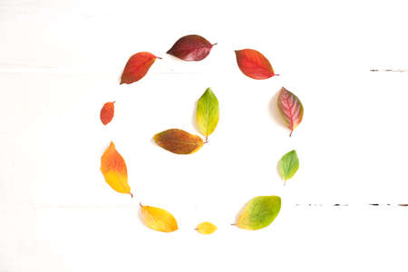 Circle of colorful autumn leaves with hand points to 9 oclock in the middle, layout for design on a wooden white background. High quality photoの写真素材