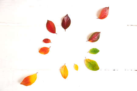 Circle of colorful autumn leaves in the form of a gradient text frame, layout for design on a wooden white background. High quality photoの写真素材