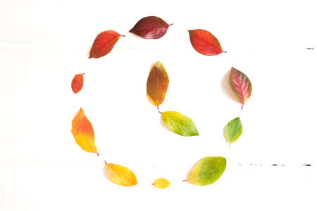 Circle of colorful autumn leaves with hand points to 16 oclock in the middle, layout for design on a wooden white background. High quality photoの写真素材