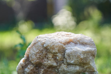 Beige Stone on the background of green plants, the perfect podium for your product, natural...