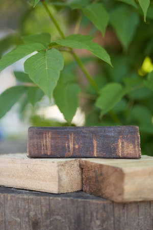 Wooden podium on a green background. Flat square stands or podium for a natural design concept....
