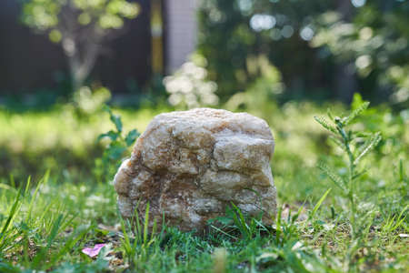 a model of an empty stone podium with a natural concept of a rock and green plants. High quality photoの写真素材