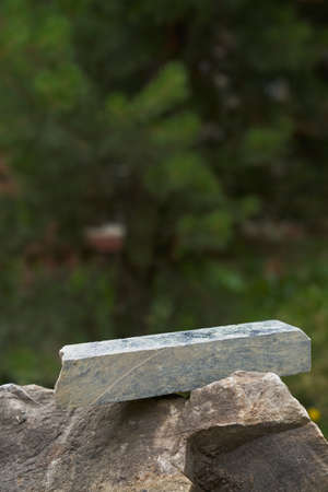 Mock-up of an empty podium with a natural concept of a rock and green plants. To demonstrate your product on a stone background. High quality photoの写真素材