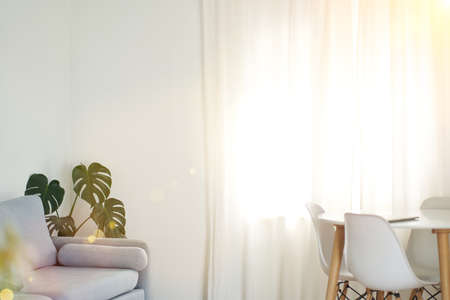 Stylish interior of the dining room with a designer white table, chairs, a plant in the corner, a large window, the concept of modern home decor. High quality photoの写真素材