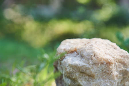 Beige Stone on the background of green plants, the perfect podium for your product, natural...