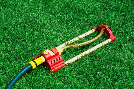 On the green lawn there is a hose for watering plants. A water hose with a sprayer for watering plants in the garden. Gardening concept. High quality photoの写真素材