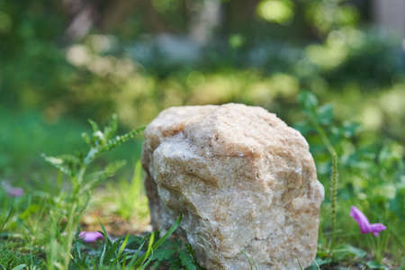 Beige Stone on the background of green plants, the perfect podium for your product, natural...