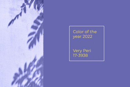 Collage. The shadow of a rowan tree on the wall is purple, monochrome color 2022. High quality photo