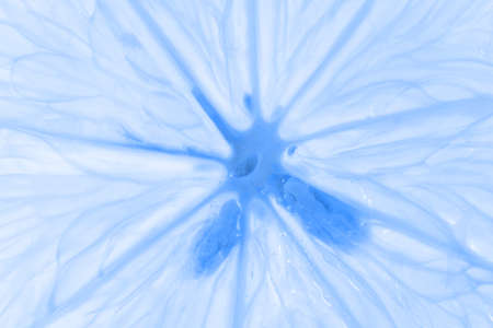 Transparent lemon texture with a blue tint. Macro close-up of a lemon with pits. Macro detail of...