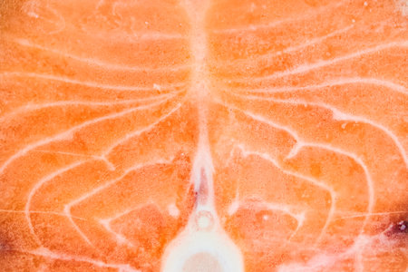 A piece of frozen salmon fillet. Close-up of pink salmon fillet with space to copy. High quality photoの写真素材