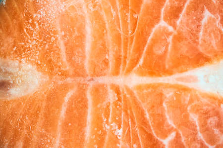 A piece of frozen salmon fillet. Close-up of pink salmon fillet with space to copy. High quality photoの写真素材
