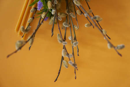 Religious Christian holiday on a yellow background. Side view of wax candles and a bouquet of willow...