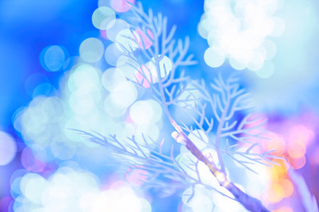 Elegant white branch on the background of blue Christmas lighting bokeh. Christmas Background concept. High quality photoの写真素材