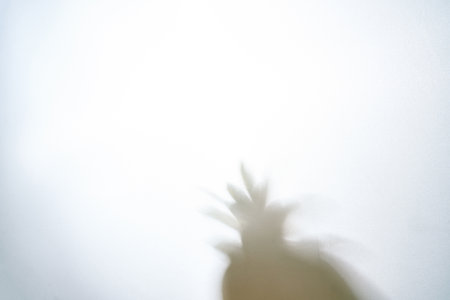 Close-up of the shadow of a blurred succulent plant in a gray pot, a succulent on a background of light fabric in sunlight. High quality photoの写真素材
