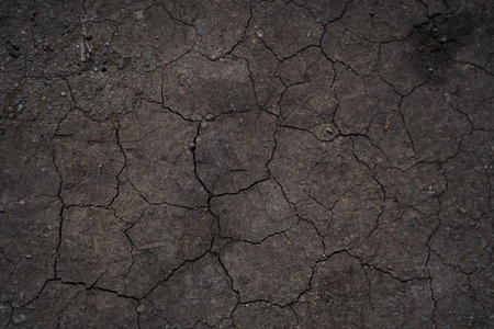 Dry cracked earth, cracks, earth in the sun, black earth, natural background with copy space. High quality photoの写真素材