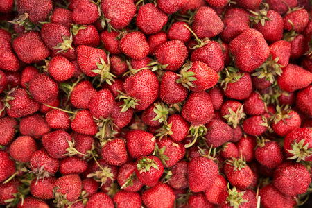 Organic fresh red strawberries. Delicious strawberries make up the background. Summer fruit theme....