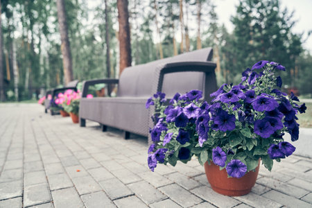 Plastic wicker garden furniture. A bench made of woven plastic. Lightweight portable garden furniture for a country house, terraces. High quality photoの写真素材