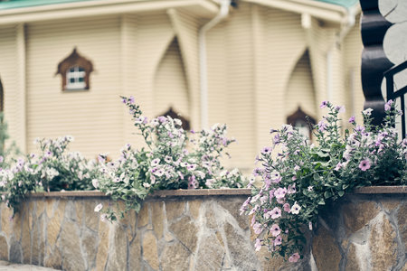 Colorful decoration of a stone fence against the background of a bright church. Petunia flowers on the walls on a sunny summer day. With space to copy. High quality photoの写真素材
