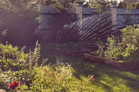 Fan irrigation system with a sprayer in the garden on a sunny summer day. Sprinkler system for watering plants. The concept of gardening, growing and caring for plants. High quality photoの写真素材
