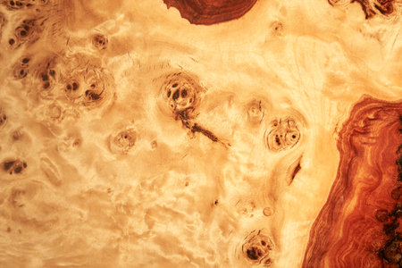 Clean modern wooden background with resin. The texture of old light wood with stain and transparent epoxy resin in cracks. High quality photoの写真素材